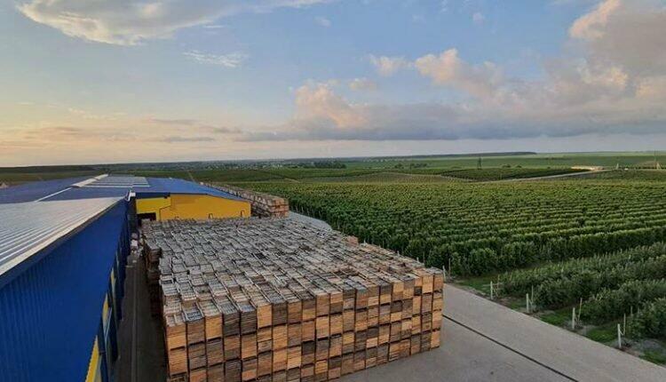 ����: 6264.com.ua