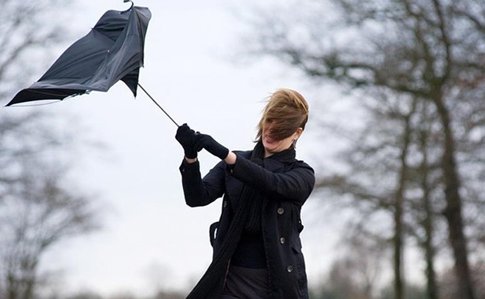  ��������� �������� ��������� �������������� ������� 