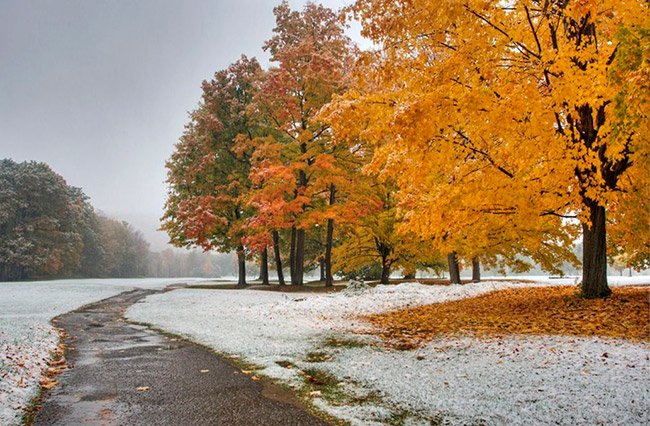  ��������� �������� ��� ������ �������� ��������� �������� 