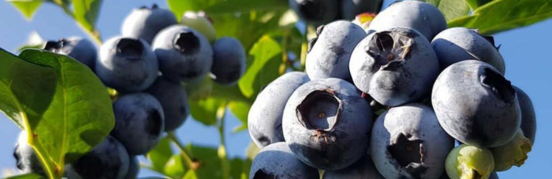 ����: 6264.com.ua