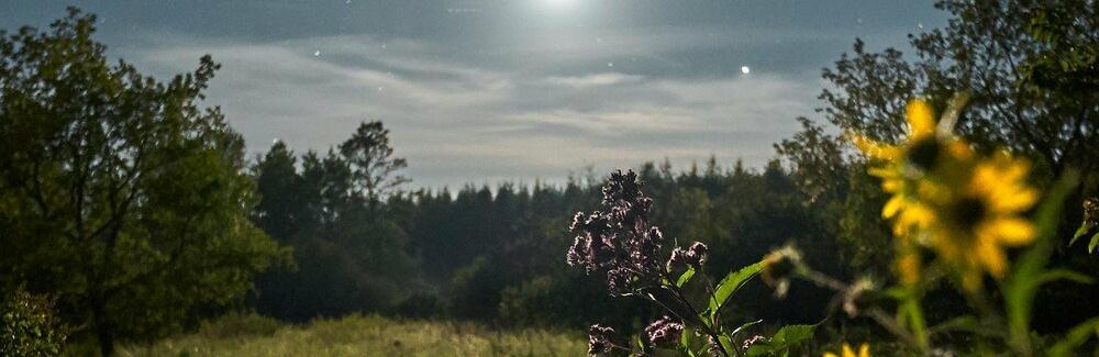 ����: 6264.com.ua