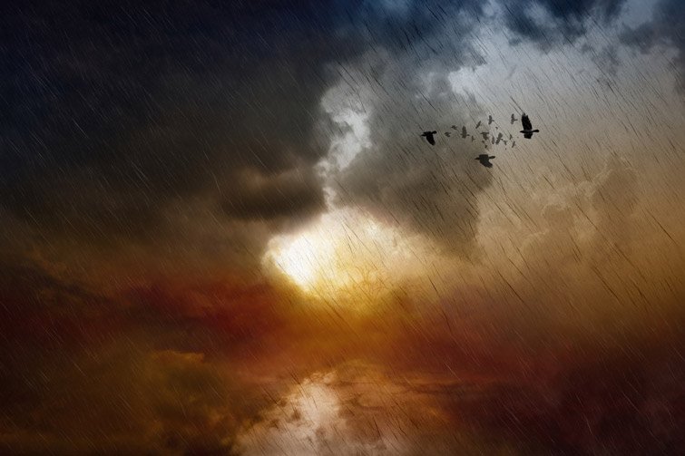  ���������� ��������� ������� ���� ������� �� ������������ ������� 