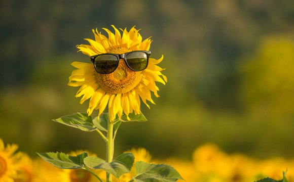  �������� ���� �������� ������ 2023 ������ ���������� ���� 