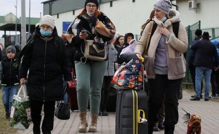  ����� ���������� ������� �������� ���������� ������ 