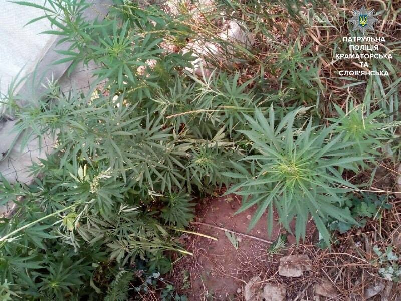  230 ������ ������ ������� ������� ���������� ���������� ����������� 