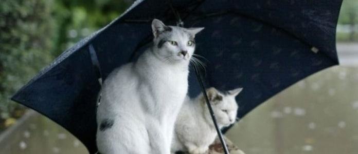  ������� ������ ������ ��� ������ ������� ���� �������� 