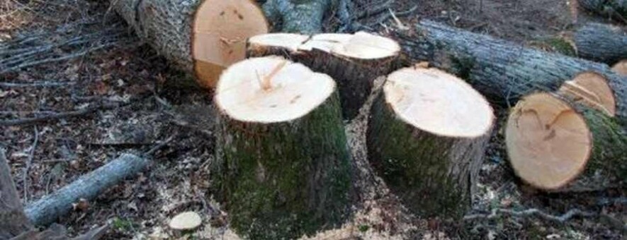  ������������ ��� ��� ����� ����� ���� ������ ������ 