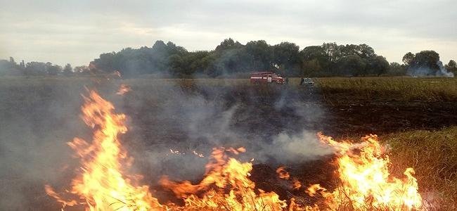  ������� �������� ������ ���� ���� ����������� ������ ������� 