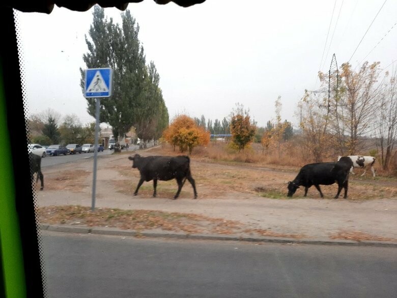  ����������� ������ ��������� ������ 