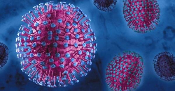  �������� ������� ���������� ���������� ������� covid-19 