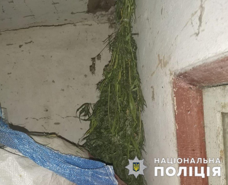  ������ �������� �������������� ������ ������ �������� 