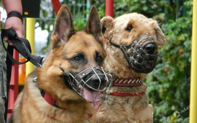  ���������� ������� ����������� ��������� ���������� ��������� �������� ���������� 