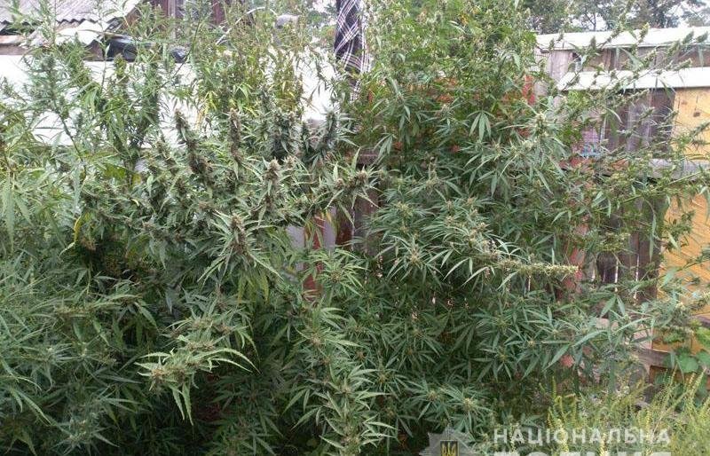  ������ ����������� ������� ��������������� ������� 