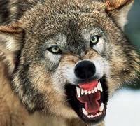 ���� ��� �� ����?