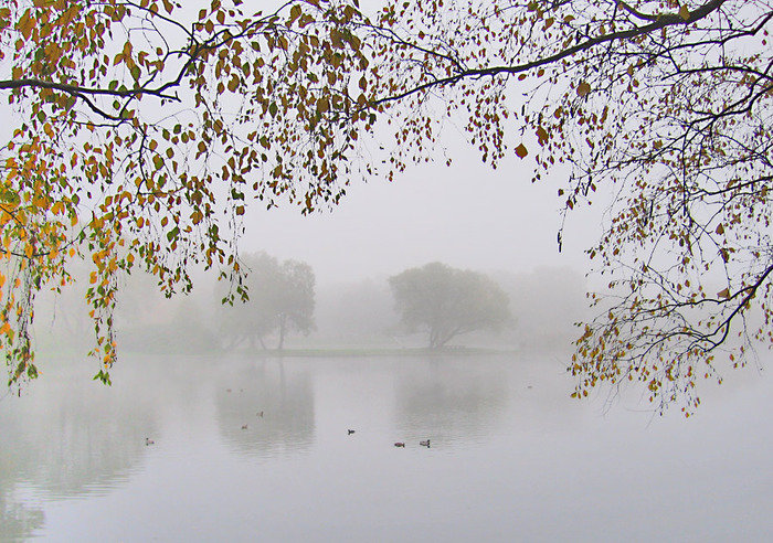  ����� ����� ������ ���� ��������� ������� ��������� 