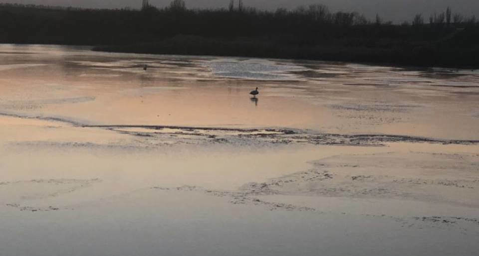  ����������� ��������� ��������� ������ �������� ����� 