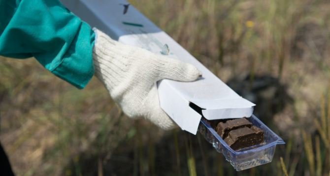  ����������� �������� �������� ����������� ����� �������� 