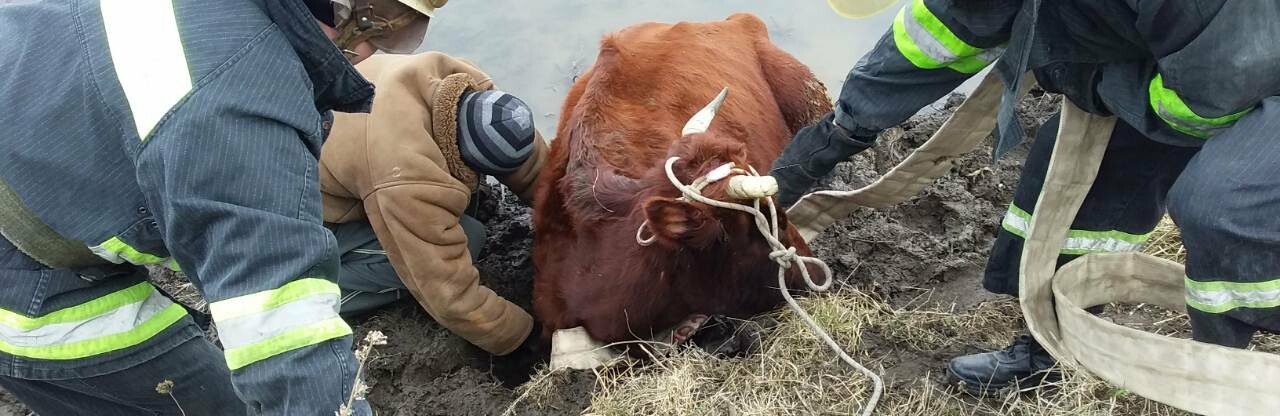 ����: 6264.com.ua