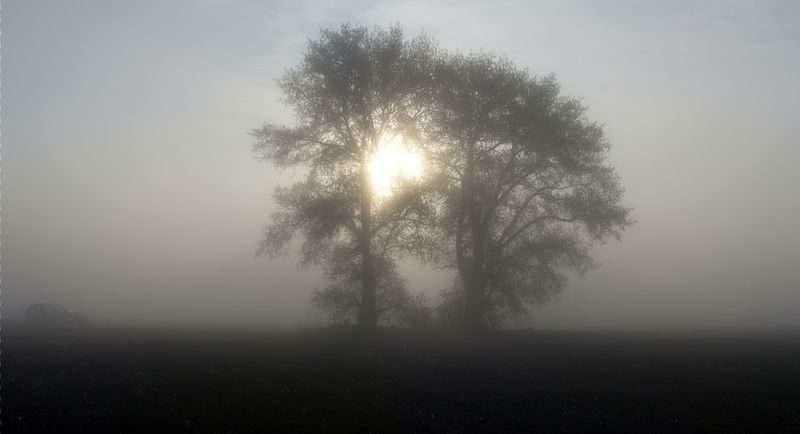  �������� ������� ��������� ������� ����� 