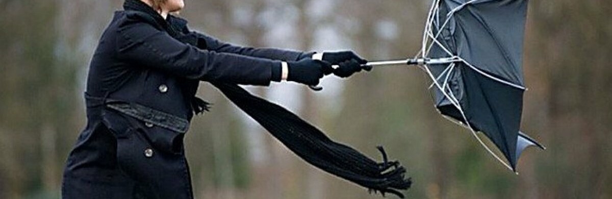  �������� ������� ��������� ������� ������ ����� 