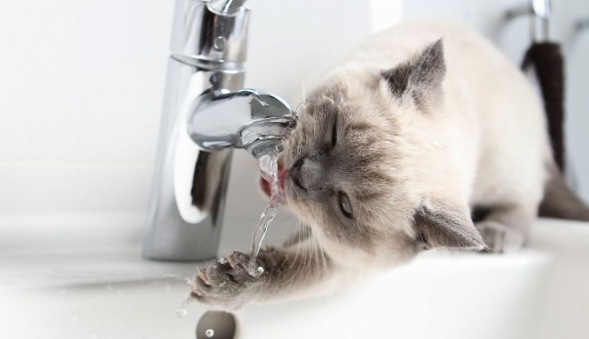  ����� ����������� ������� ���� 