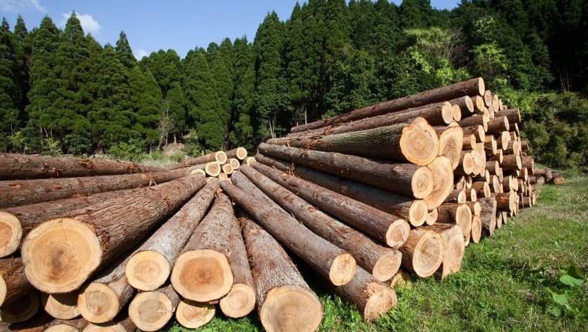  ��������� ���� �������� ������ ��������� ����� ���� 