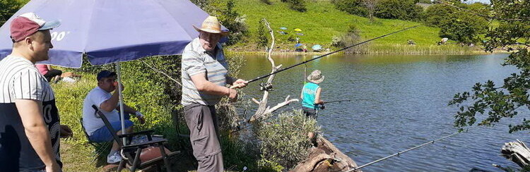  ����������� ������ �������� ��������� �������� ������� 