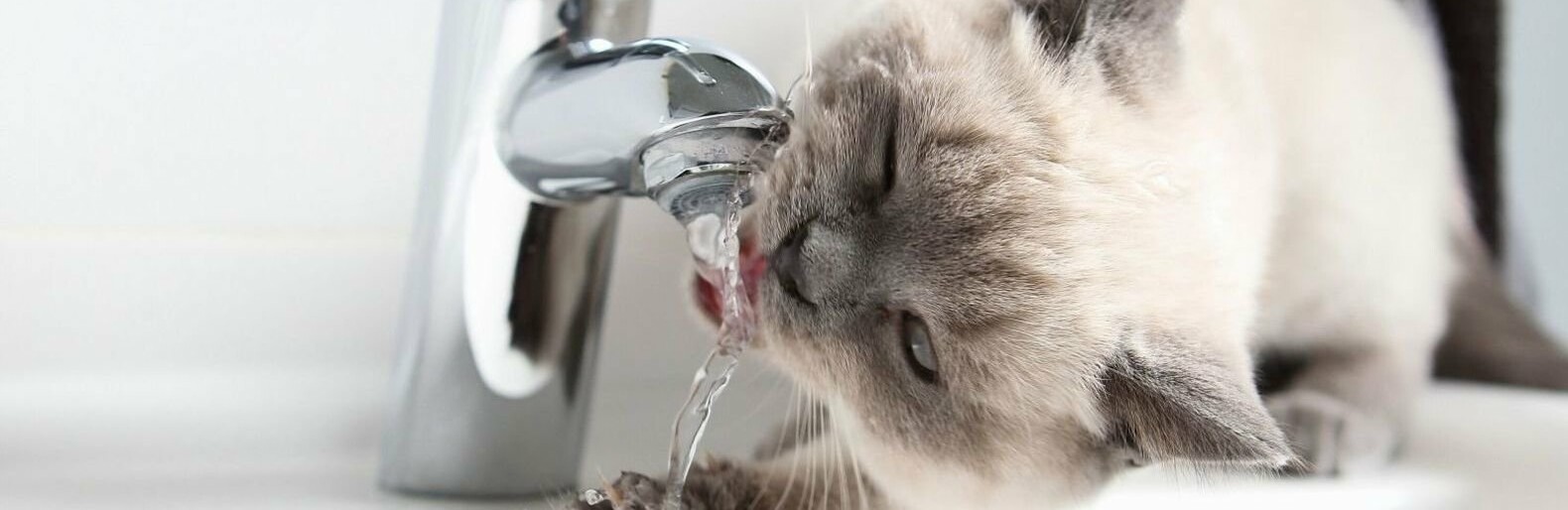 ����: 6264.com.ua