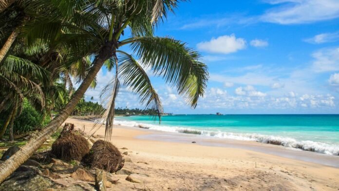  ������� ������ ����� ������� 