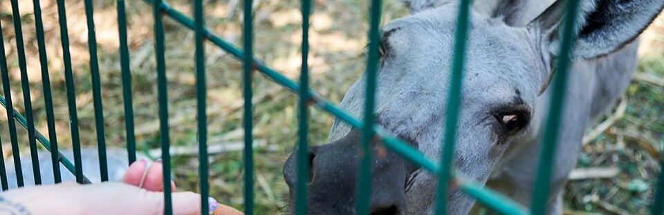  ���� ����� ��������� ��������� �������� ������������ ����� ������������ 