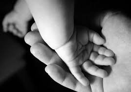  ������� ������� ���������� ����������� ��������� ��������� ���������� 