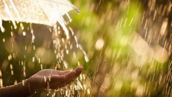  ������ ������������� ������� �������� 