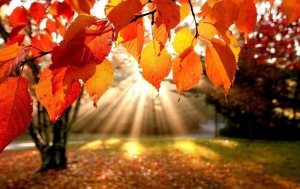  ����� ����������� ������� ������ ����� ������� ������ �������� 