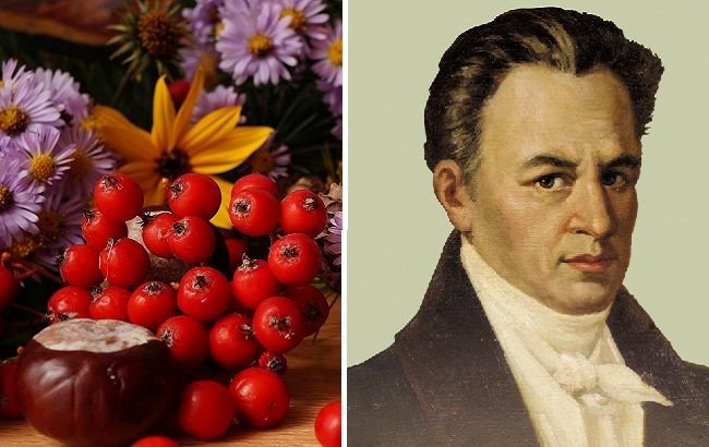  �������� �������� ������������� ���� 