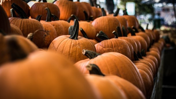  ������� �������� ������� 