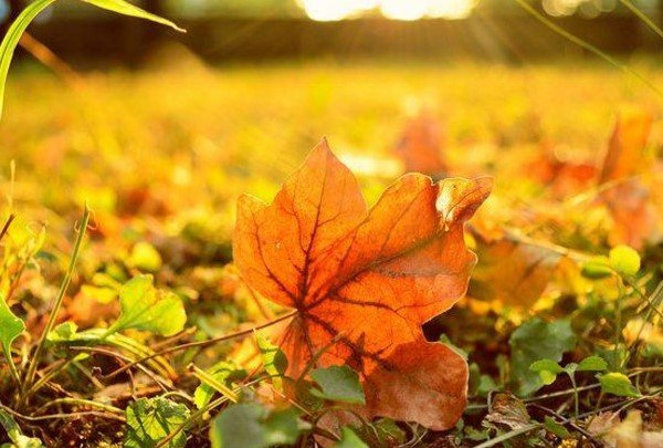  ��� ������ ������������� ������ ���� ����� 