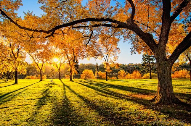  ������������� ����� ������� ���� 