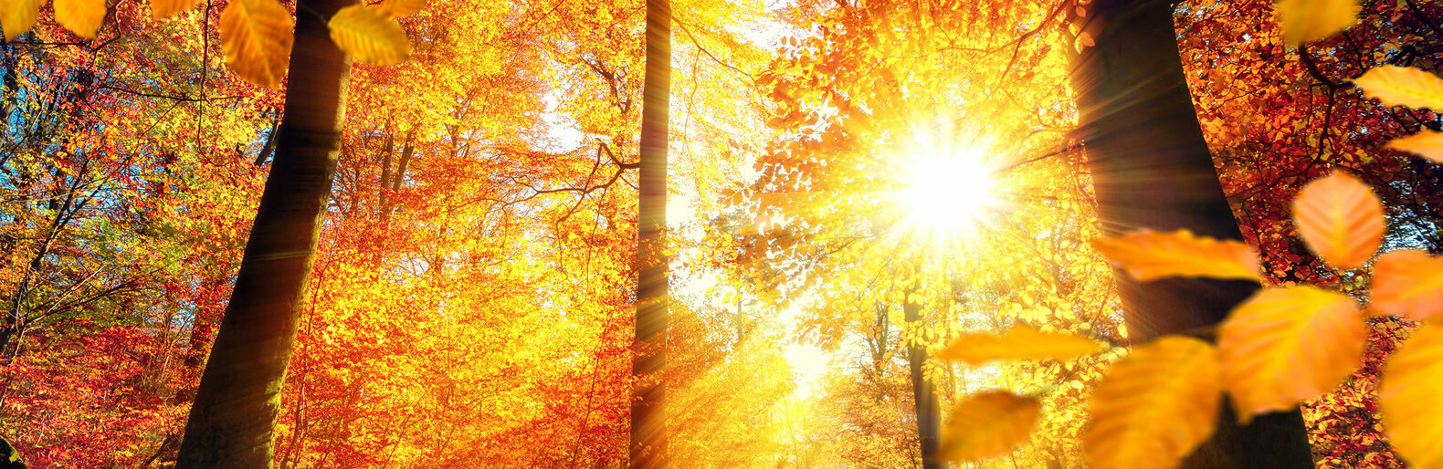  ���� �������� ����� ����������� ���������� ��������� ������ ��������� 