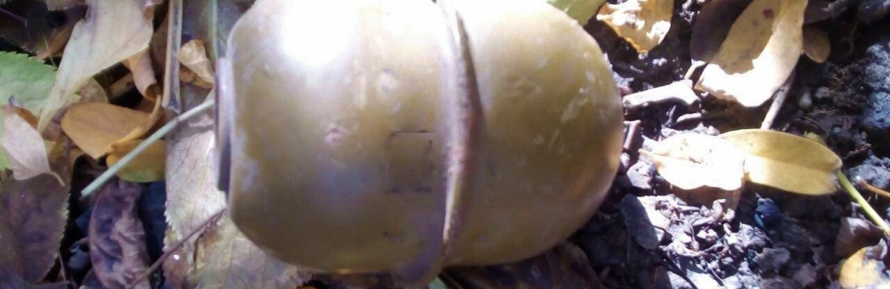  ��� ������ ������������ ������� ������� ������� �������� ����� 