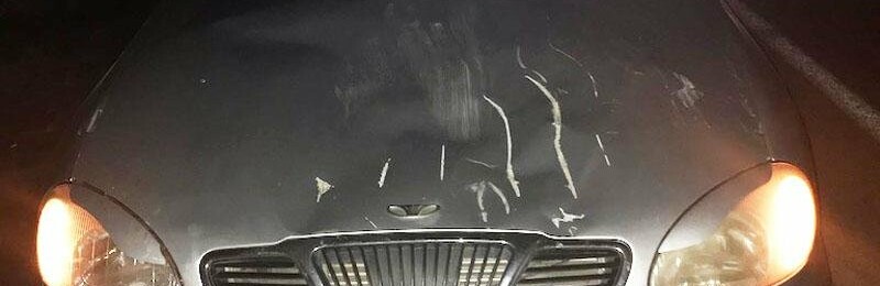  34-������ ������ ����������� ���� �������� ������������� 