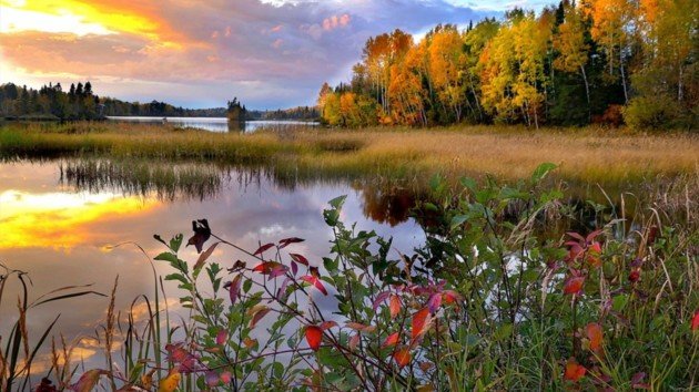  �������� ����������� ���������� nicola ������ ����� ������������� 