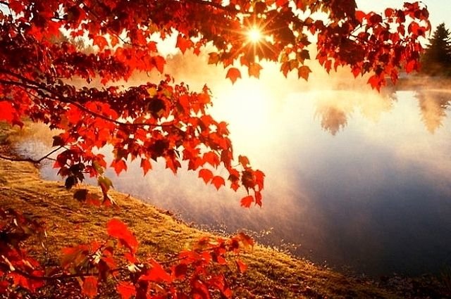 ����: 6264.com.ua