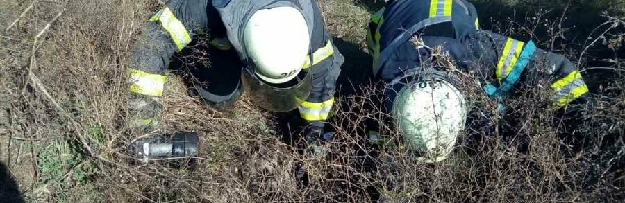  ������������ ������������ ����� ���� ���������� ���������� �������� 