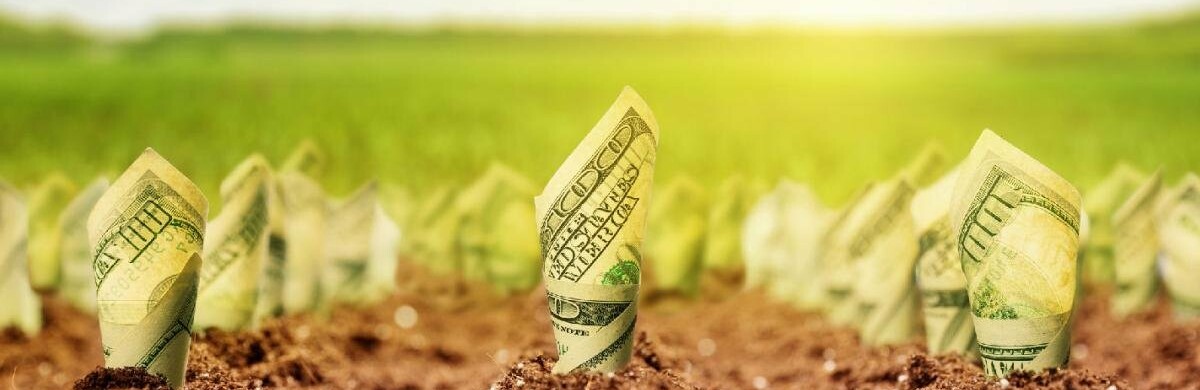  �������� ����� ������ ����� ����� ����� ������ ����������� 