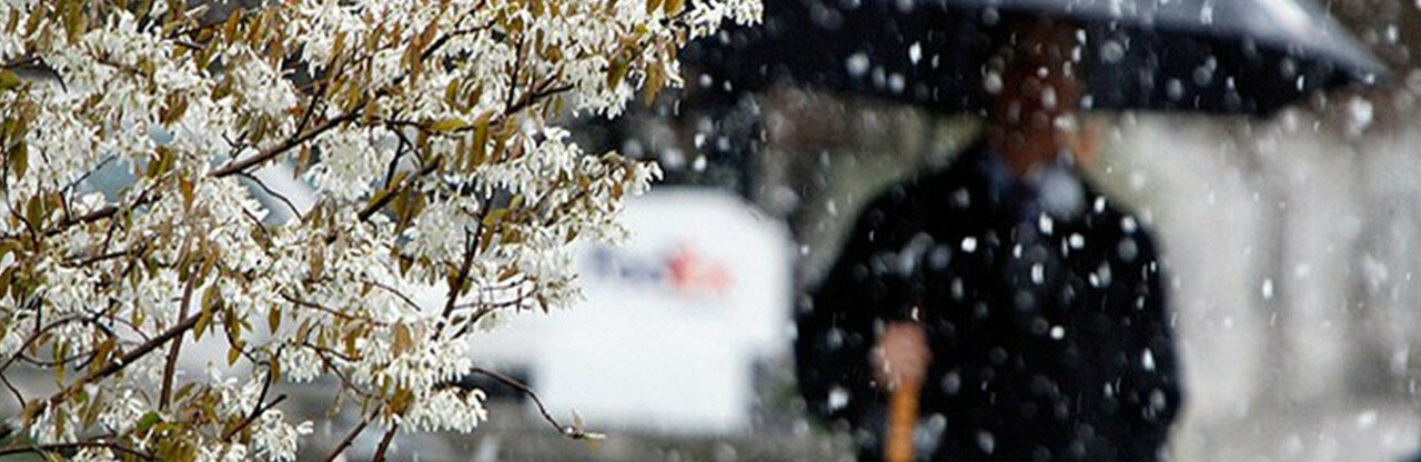  ������� ������ ����� 