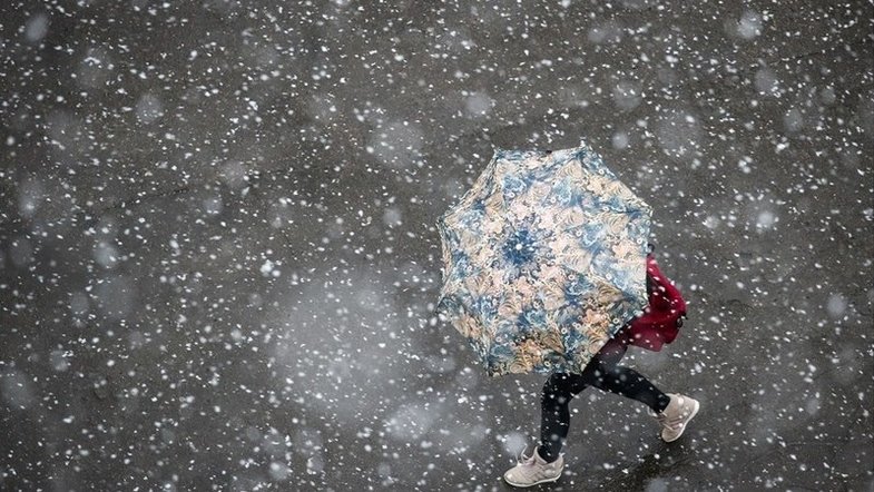  ���� ���������� ������� ������� ����� ������ ���� 