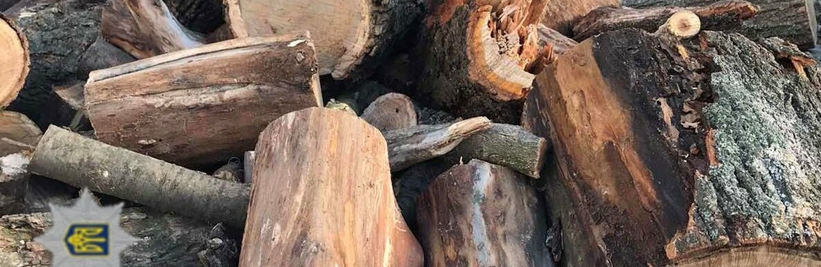  ������� ����������� ������ ��������� ����� ���������� ������� ���� 