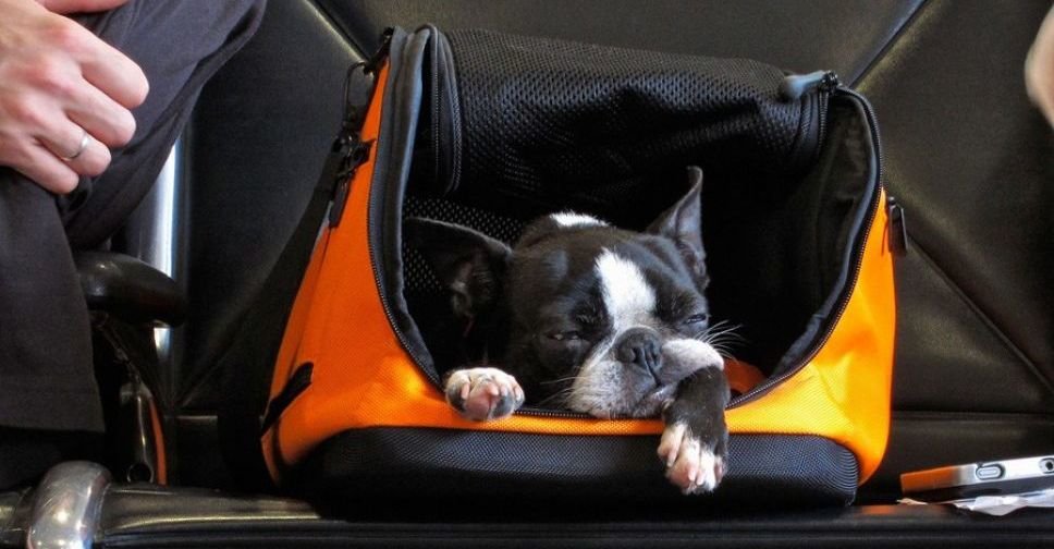  ������� ������������ ��������� ������� �������� ����� 