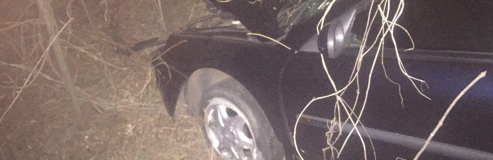  ������������ ������� ��� ���������� 17-� ���� ������� 