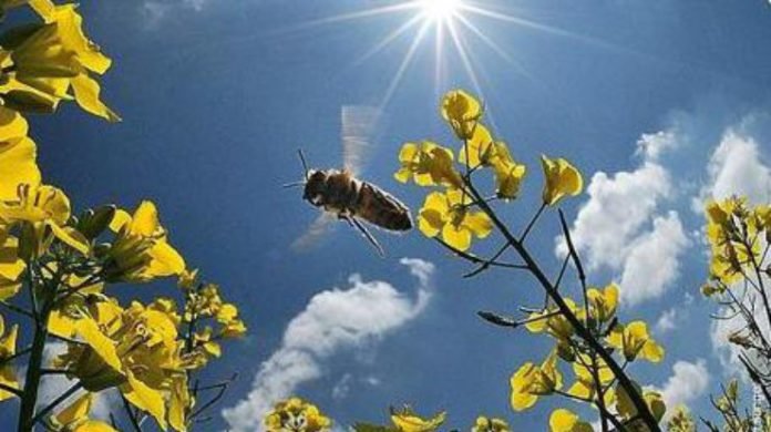  ���� ������� ������� ������� ������� �������� 